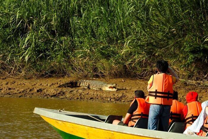 Borneo Family Holiday