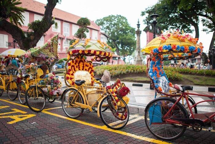 Malaysia's Jungle Railway Adventure