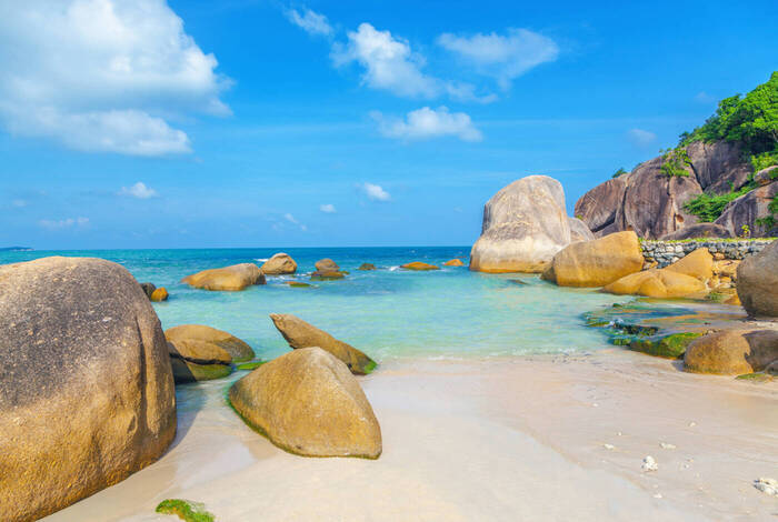 Real Thailand Real Thailand