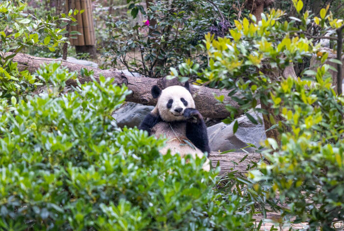 China Real Food Adventure China Real Food Adventure