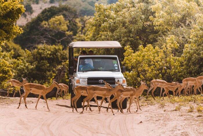 Amazing Southern Africa