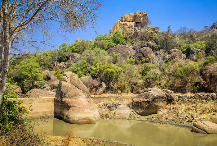 Southern Africa Safari