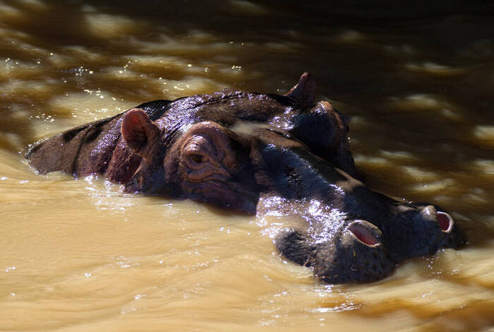 Kruger & Coast Kruger & Coast