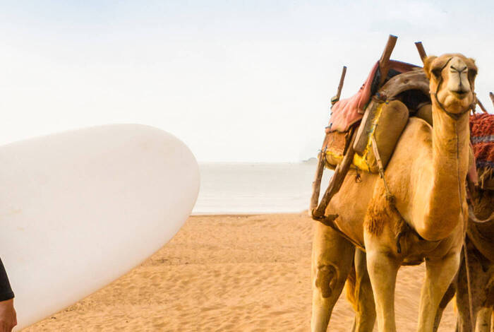 Five Days in Morocco Five Days in Morocco