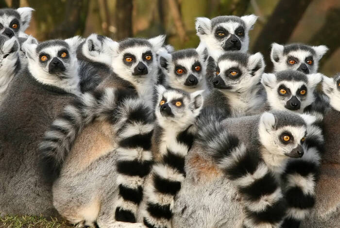 Madagaskar Abenteuer