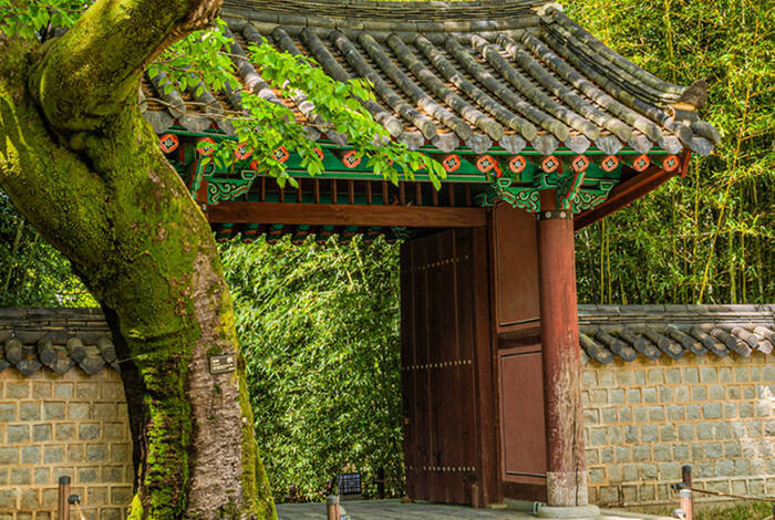 Essential South Korea