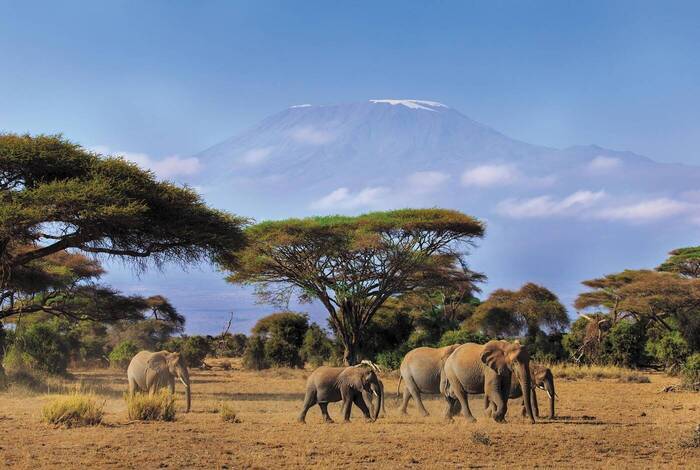 Classic East Africa Classic East Africa