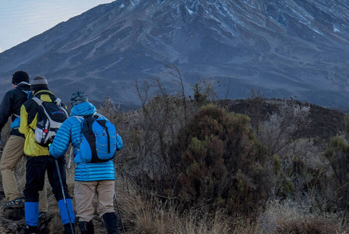Serengeti & Kilimanjaro