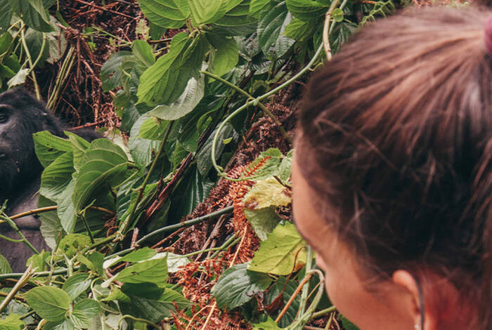 Premium Uganda, Rwanda & Kenya