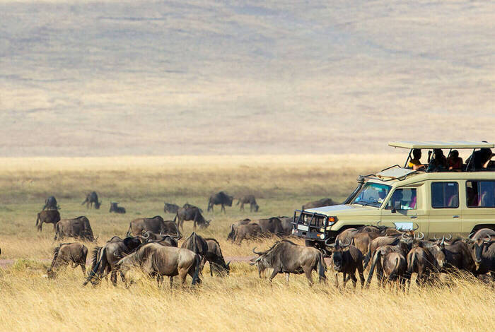 Real East Africa & Zanzibar