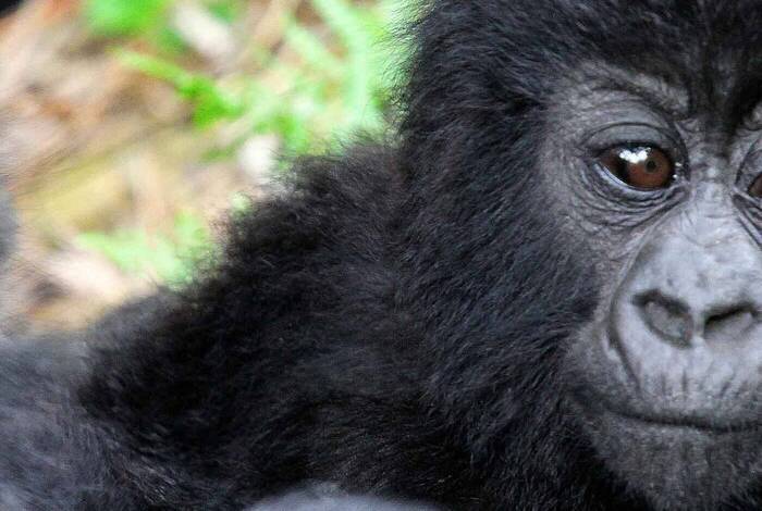 Africa Encompassed Southbound