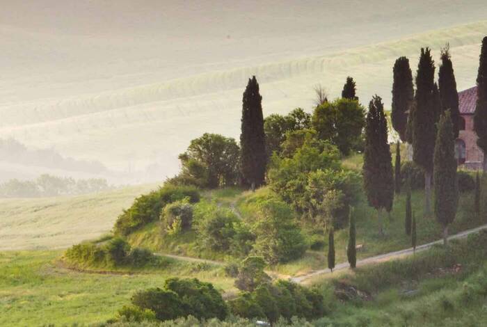 Premium Italy in Depth