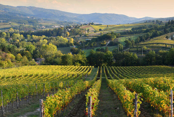 Premium Rome to Venice