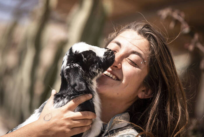 Social-Travel im Tierschutz-Projekt auf Teneriffa