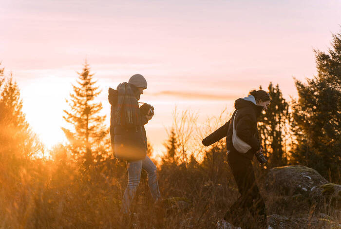 Natur- und Klimaschutzprojekt in Island