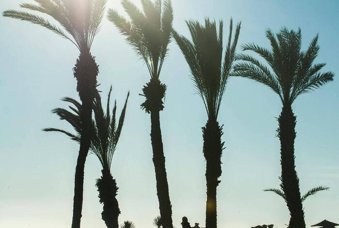 Agadir Beach Club Hotel | Agadir Agadir Beach Club Hotel | Agadir