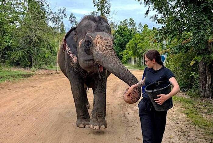 Social-Travel: Elefanten-Tierschutz in Thailand