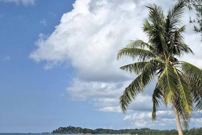 The Sanchaya | Bintan The Sanchaya | Bintan