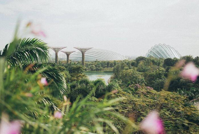 The Fullerton Hotel Singapore | Singapur