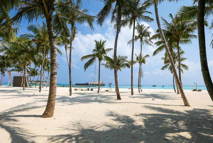 The Barefoot Eco Hotel | Haa Dhaalu Atoll The Barefoot Eco Hotel | Haa Dhaalu Atoll