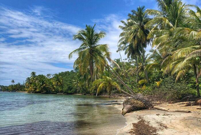 Sugar Beach A Sunlife Resort | Flic en Flac