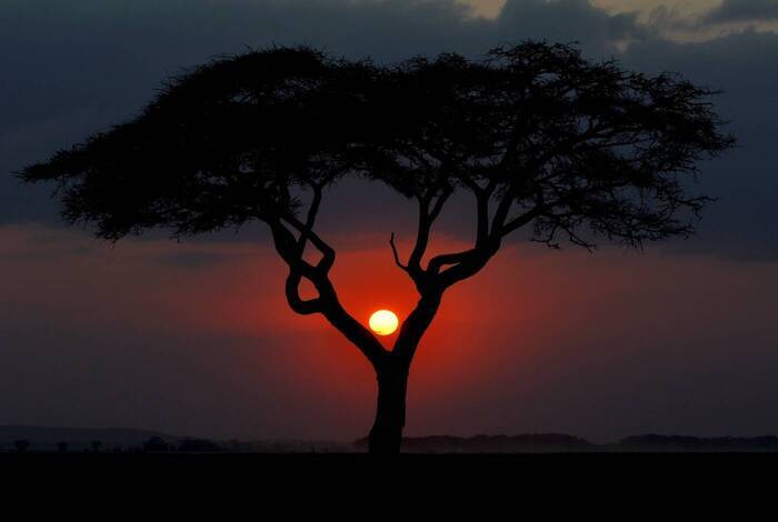 Southern Palms Beach Resort | Diani Beach