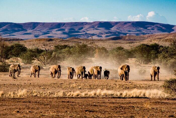 Etosha Village | Ombika Etosha Village | Ombika