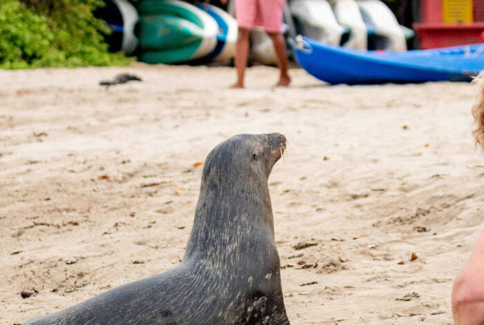 Peru & Galapagos Explorer
