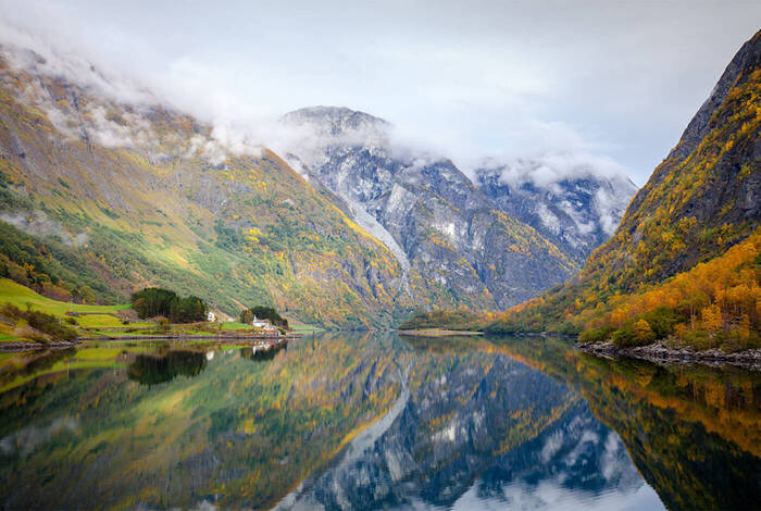 Premium Scandinavia