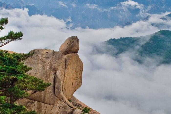 Premium South Korea