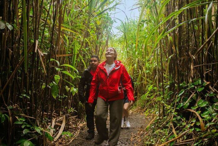 Premium Costa Rica: Tortuguero and Caribbean Coast Premium Costa Rica: Tortuguero and Caribbean Coast