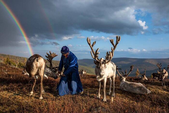 Mongolia Expedition: Reindeer Herders Mongolia Expedition: Reindeer Herders