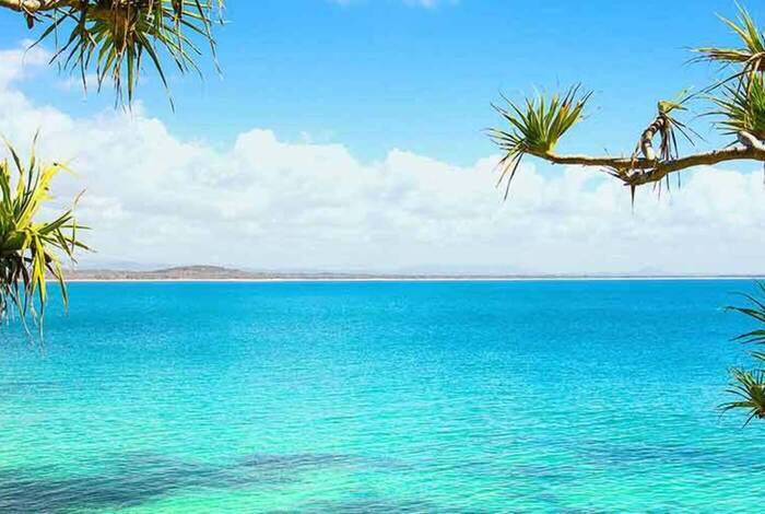 Sydney to Cairns Adventure Sydney to Cairns Adventure