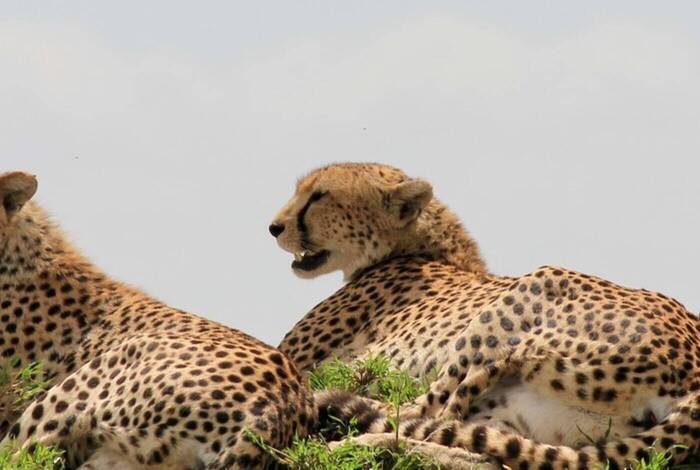 18 to 35s Essential East Africa