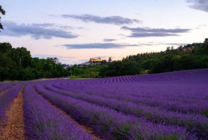 Best of France Best of France