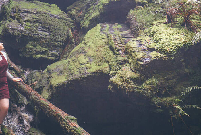 Walk Tasmania's Tarkine & Cradle Mountain Walk Tasmania's Tarkine & Cradle Mountain