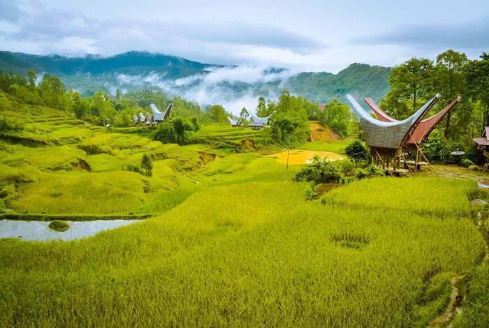 Indonesia Expedition: Sulawesi & Toraja Tribes