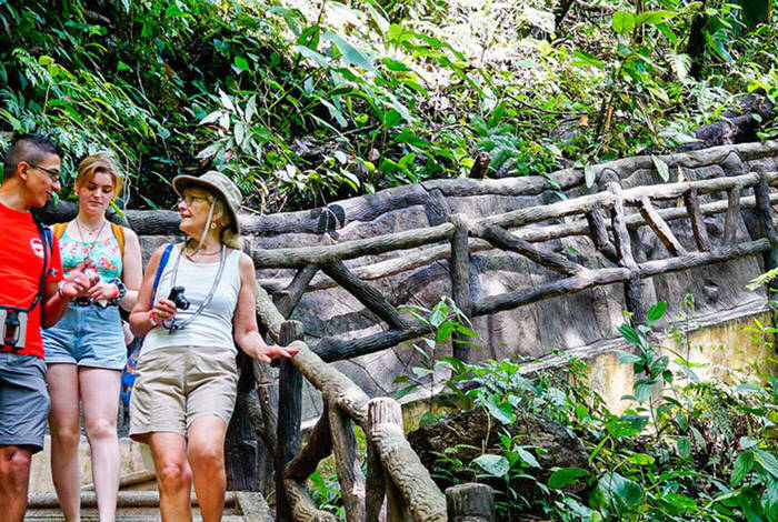 Amazing Central America
