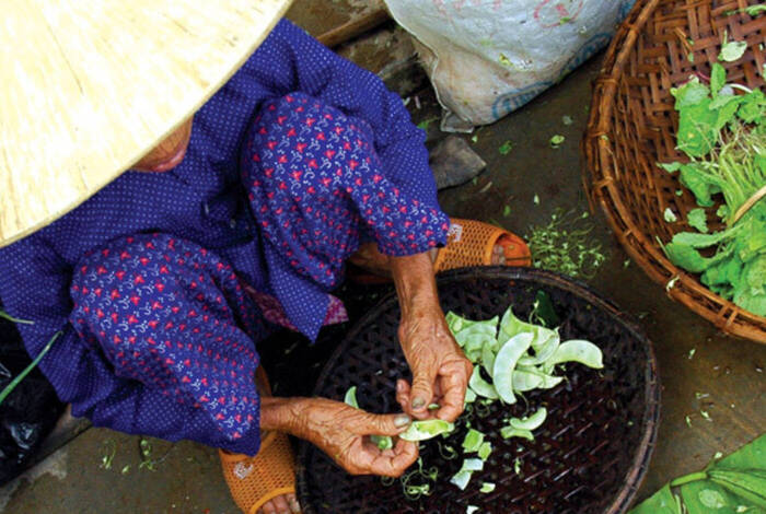 Vietnam & Cambodia Real Food Adventure Vietnam & Cambodia Real Food Adventure