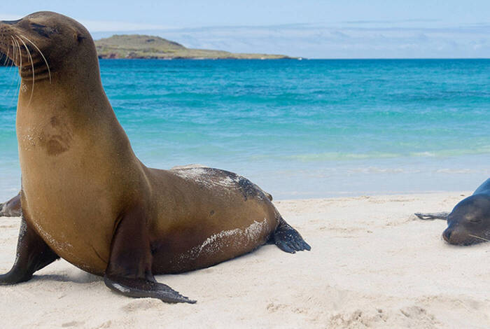 Galapagos Island Hopping