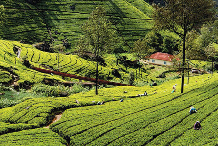 Sri Lanka: Hike, Bike & Kayak