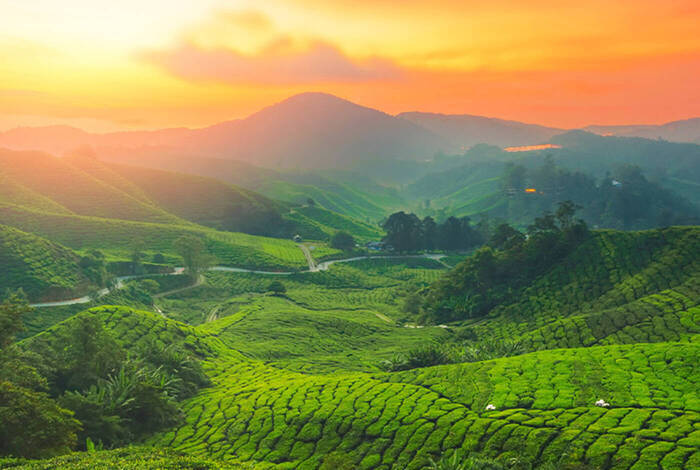 Malaysia Highlights Malaysia Highlights