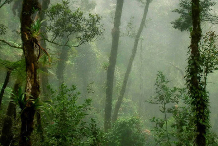 Wild Sarawak Wild Sarawak