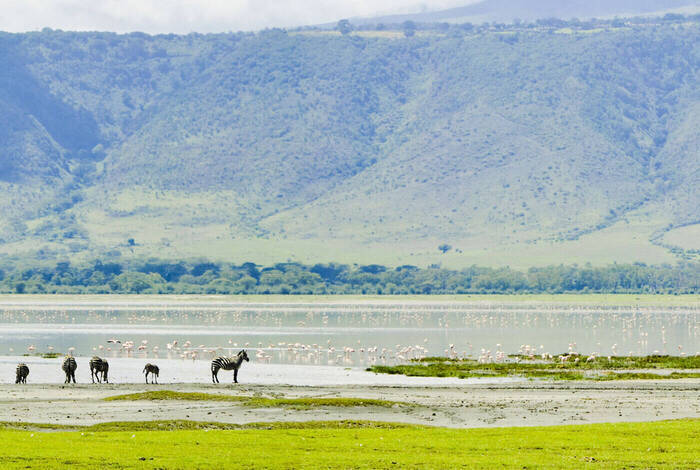 Kenya and Tanzania Family Safari