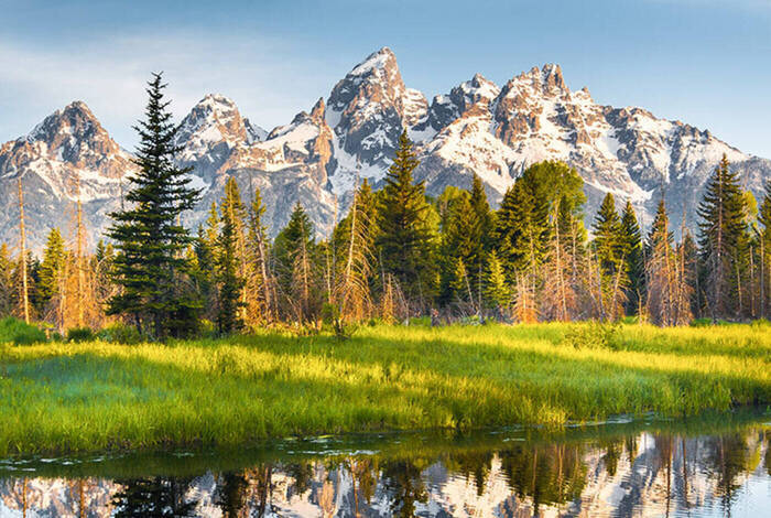 Yellowstone and Grand Tetons Adventure