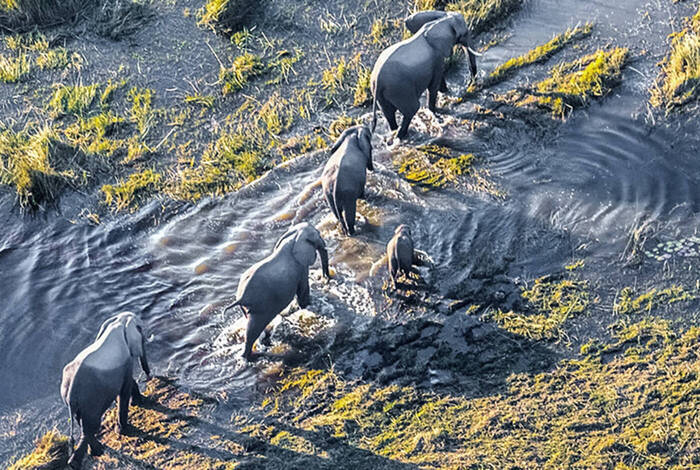 Okavango Experience Okavango Experience
