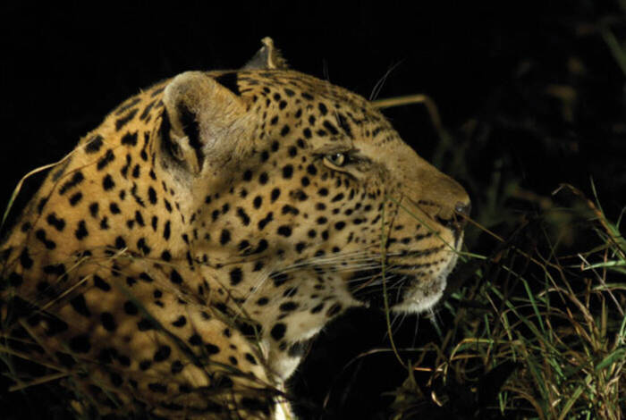 Kruger to Vic Falls Kruger to Vic Falls