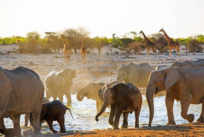 Highlights of Namibia & Botswana