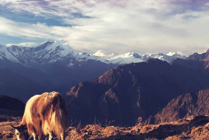 Essential Nepal Essential Nepal