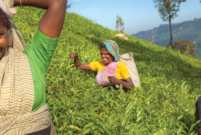 Simply Sri Lanka Simply Sri Lanka